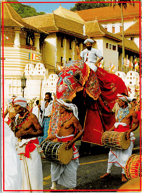 Eine Postkarte aus Sri Lanka an das EuroEyes-Team in München