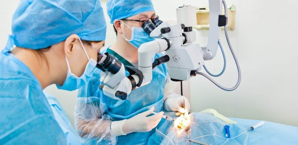 Grauer Star OP: Ablauf und häufige Fragen im Überblick