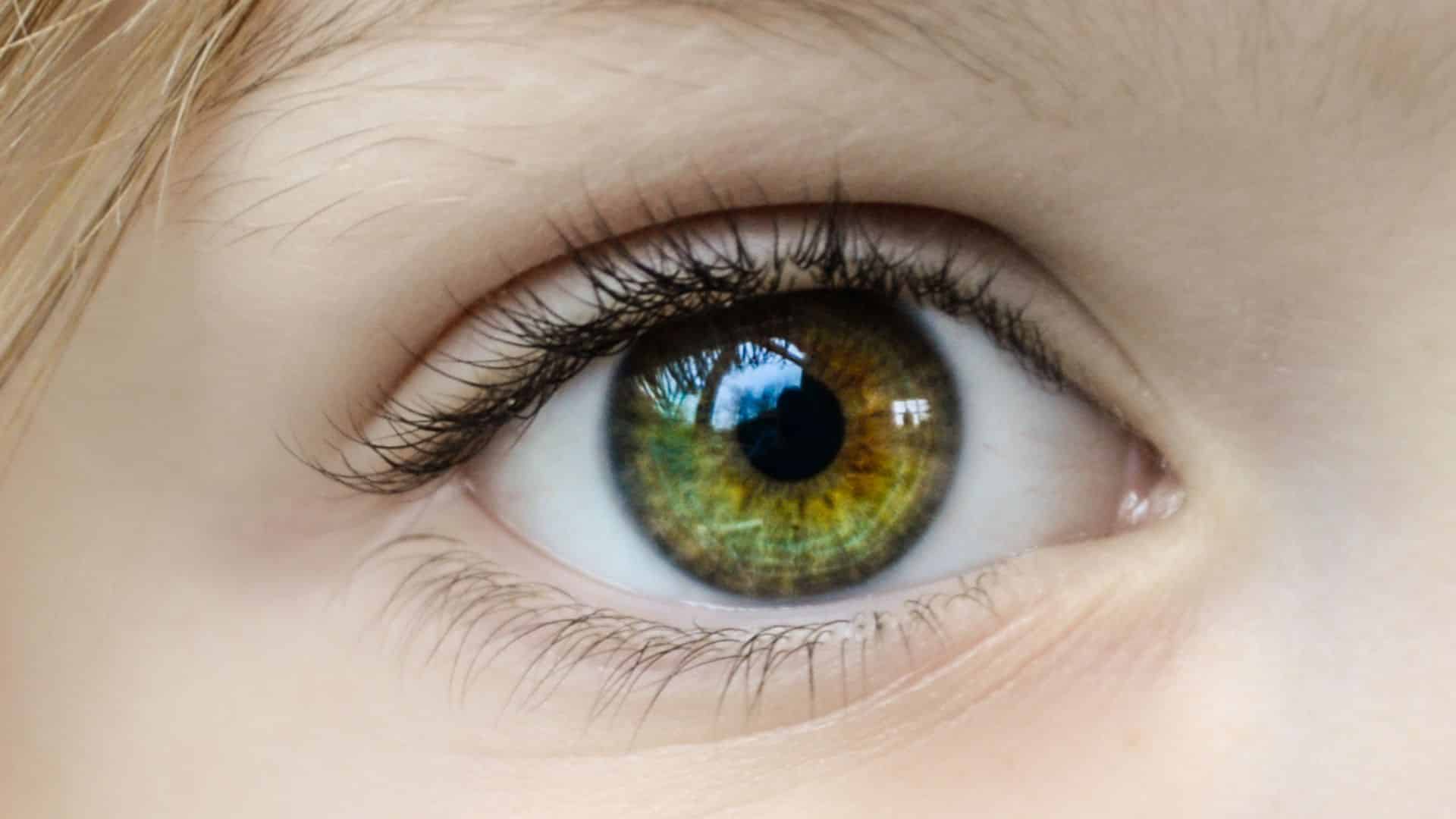 Sehkraft verbessern: Augen stärken mit Augentraining und Co.